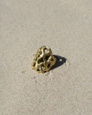 Fossil Ring