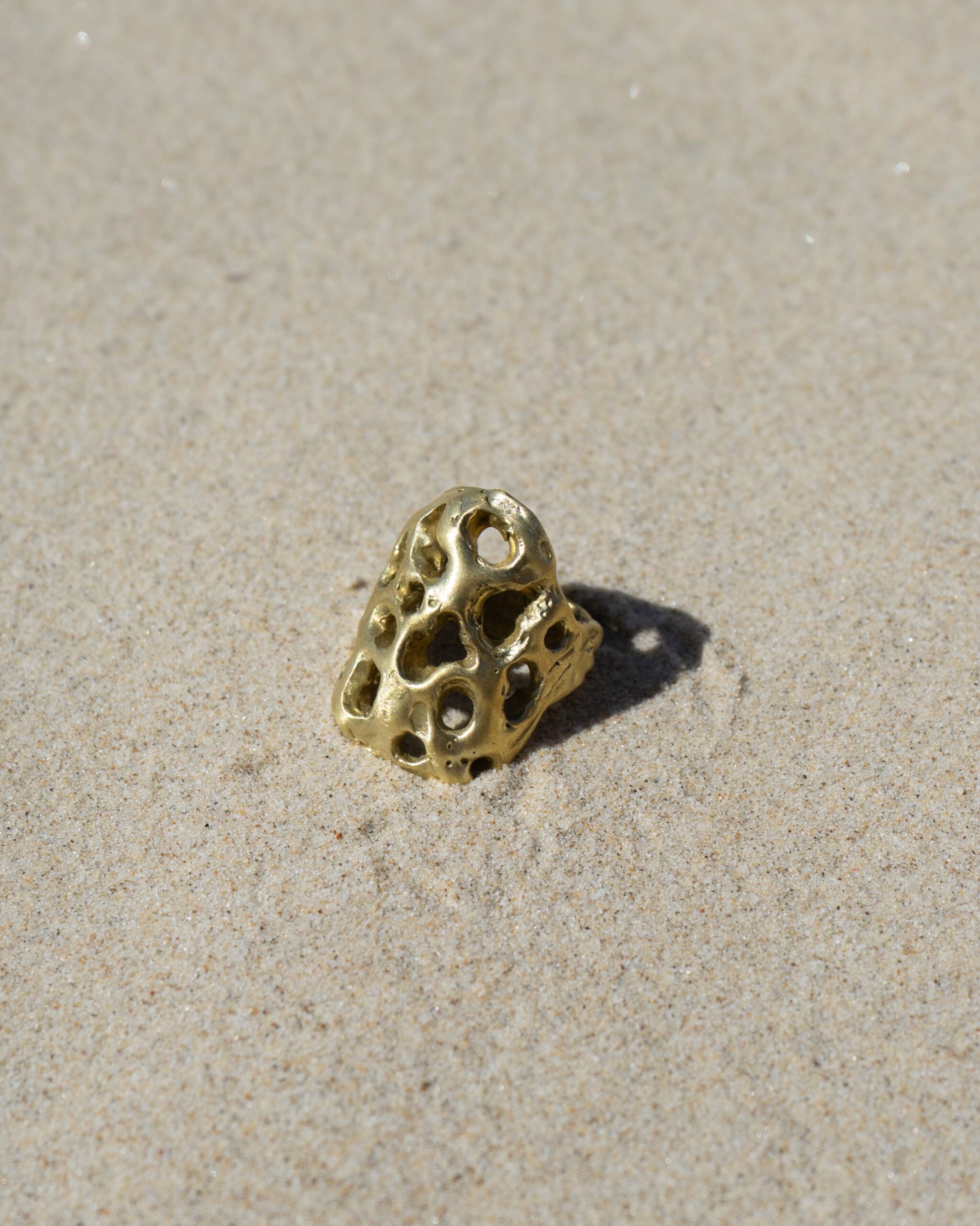 Fossil Ring
