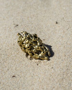 Reef Ring