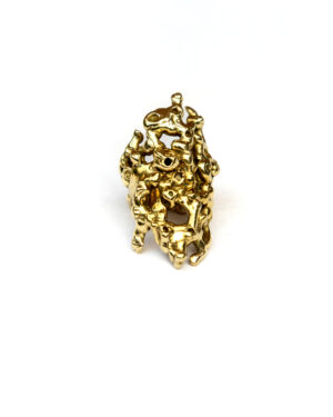 Reef Ring