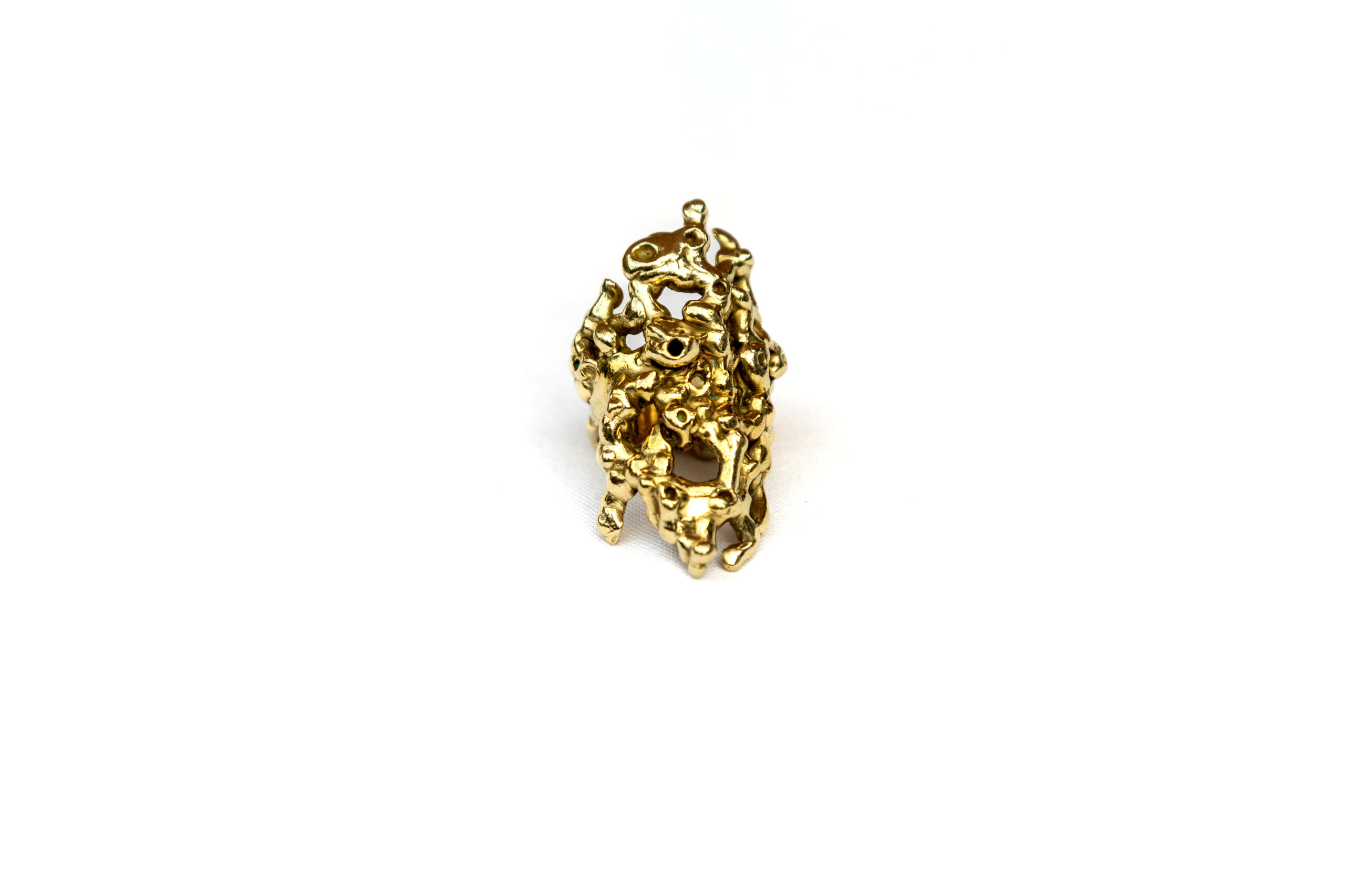 Reef Ring