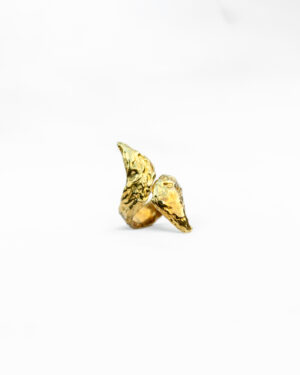 Wing Ring