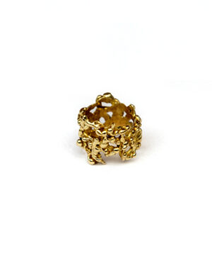 Void Ring